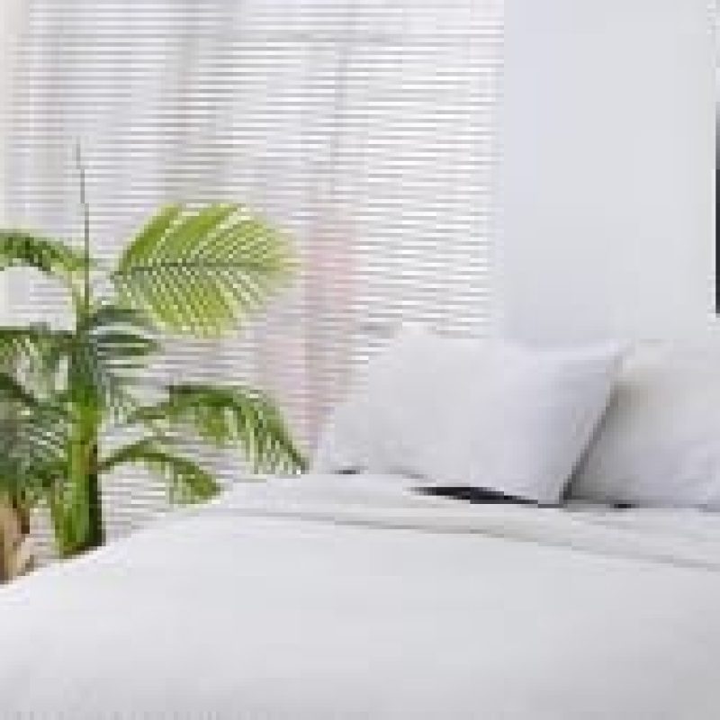 Benefits of Choosing a Bamboo Blanket